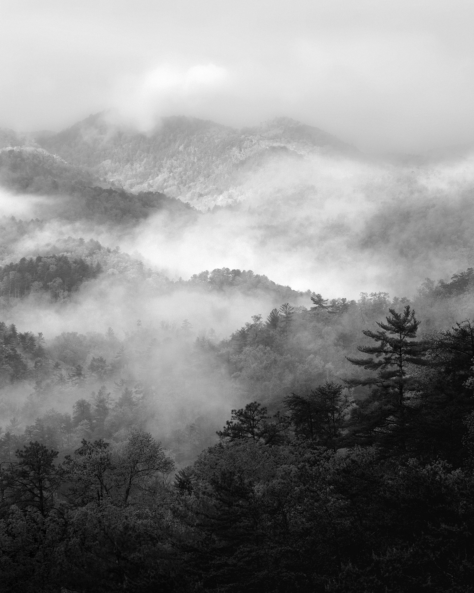 Spring mist nestled in and around the tops of the Great Smoky Mountains in eastern Tennessee in 2023.