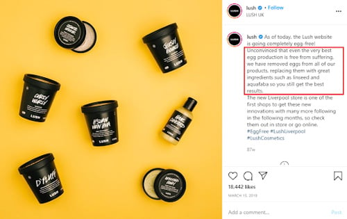 convertible social media tips lush