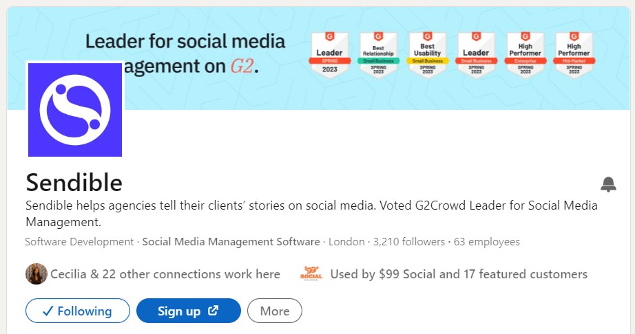 linkedin-profiles-and-pages-examples-sendible-company-page
