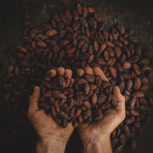 celebrate national cocoa day - photo by Pablo Merchan Montes via unsplash