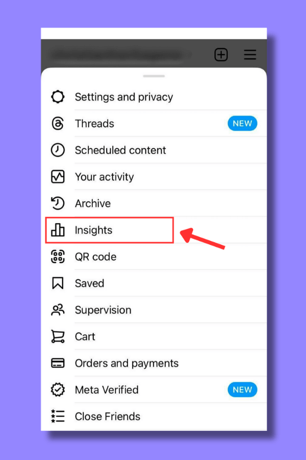 instagram-metrics-insights