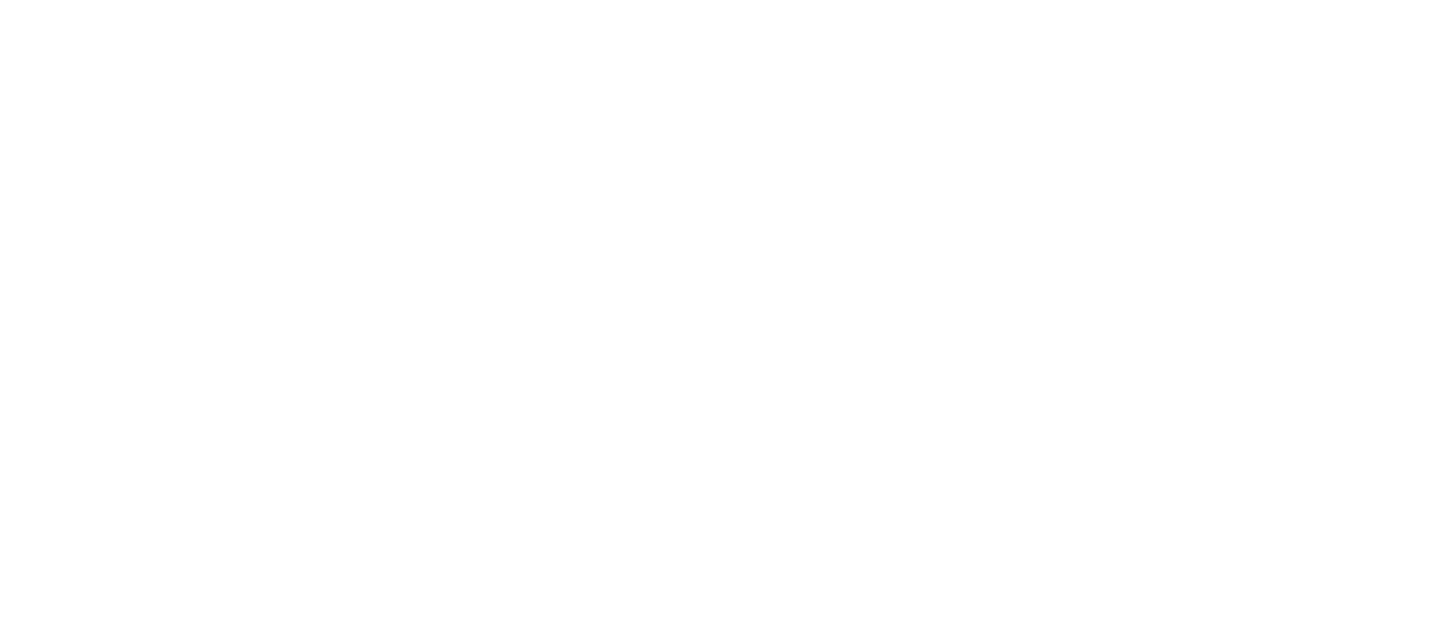 smmi-logo-white